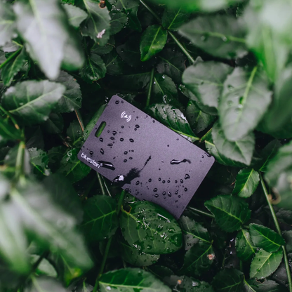 Tarjeta de seguimiento