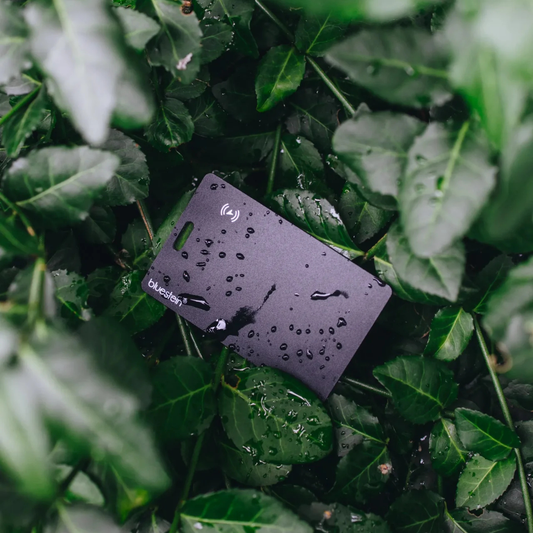 Tarjeta de seguimiento