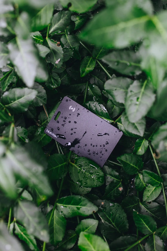 Tarjeta de seguimiento